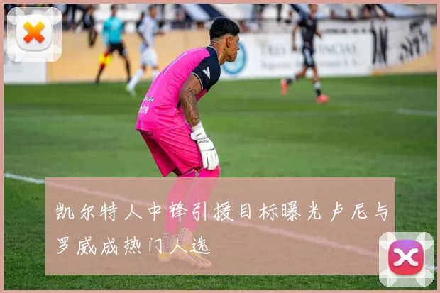 凯尔特人中锋引援目标曝光卢尼与罗威成热门人选