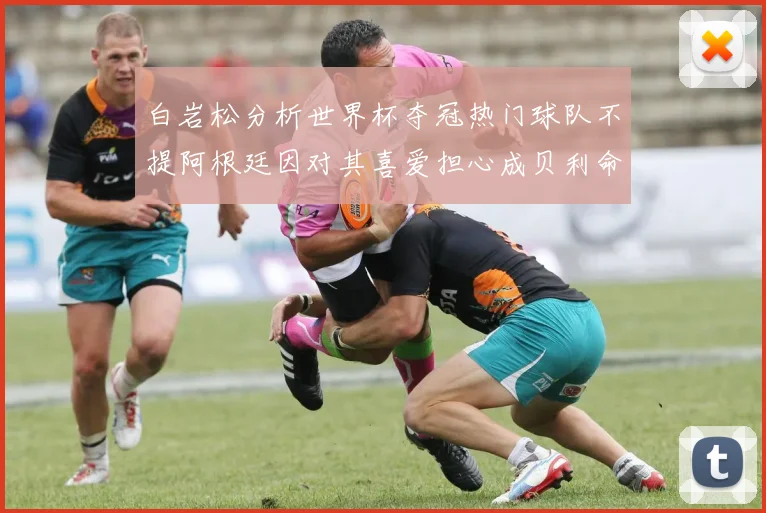 白岩松分析世界杯夺冠热门球队不提阿根廷因对其喜爱担心成贝利命运